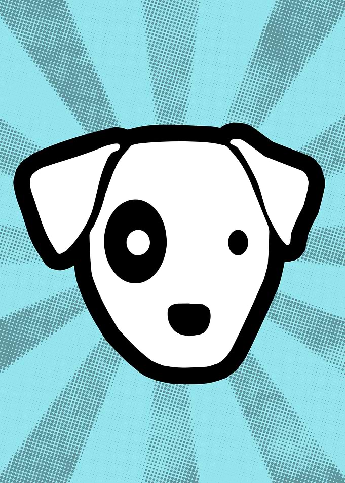 cute dog