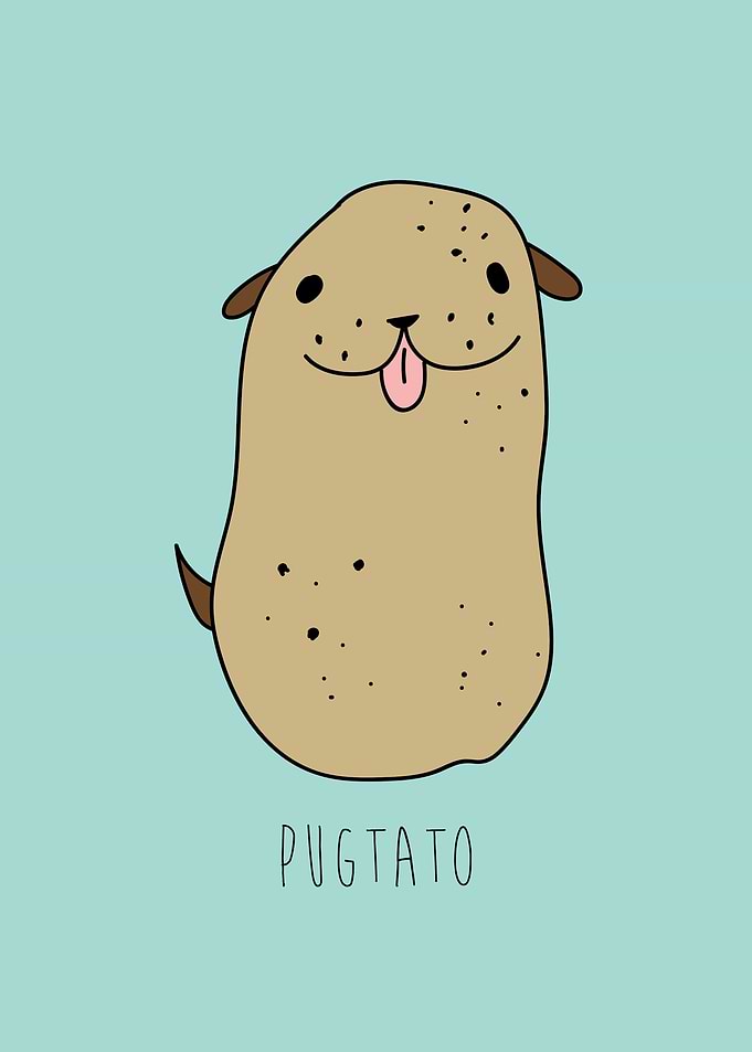 PUGTATO