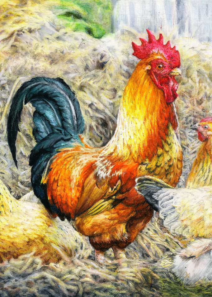 Proud Country Rooster
