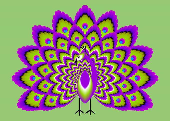 Peacock