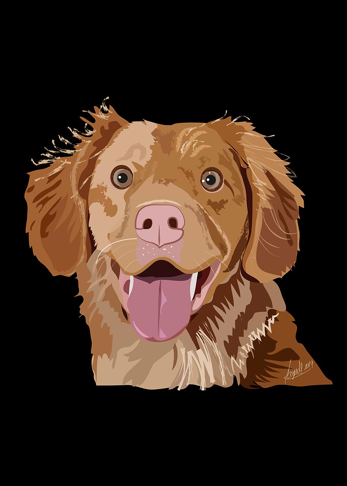 Golden puppy