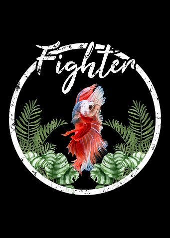 Betta Fish Fish Keeper