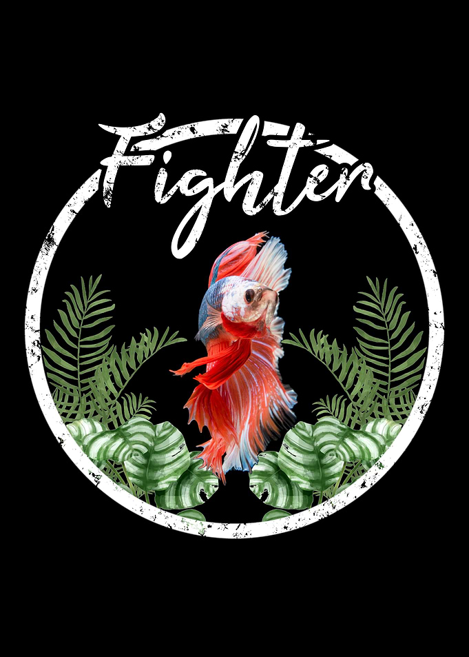 Betta Fish Fish Keeper