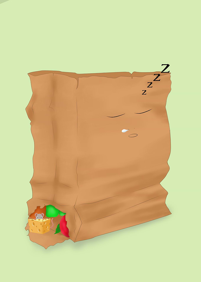 Sleeping Bag Plane