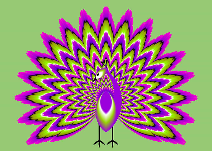 Peacock