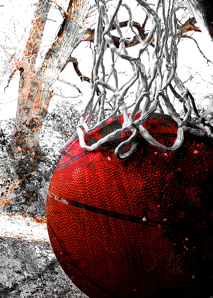 basketball art net 5