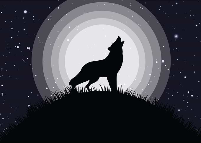 flat design animal vector