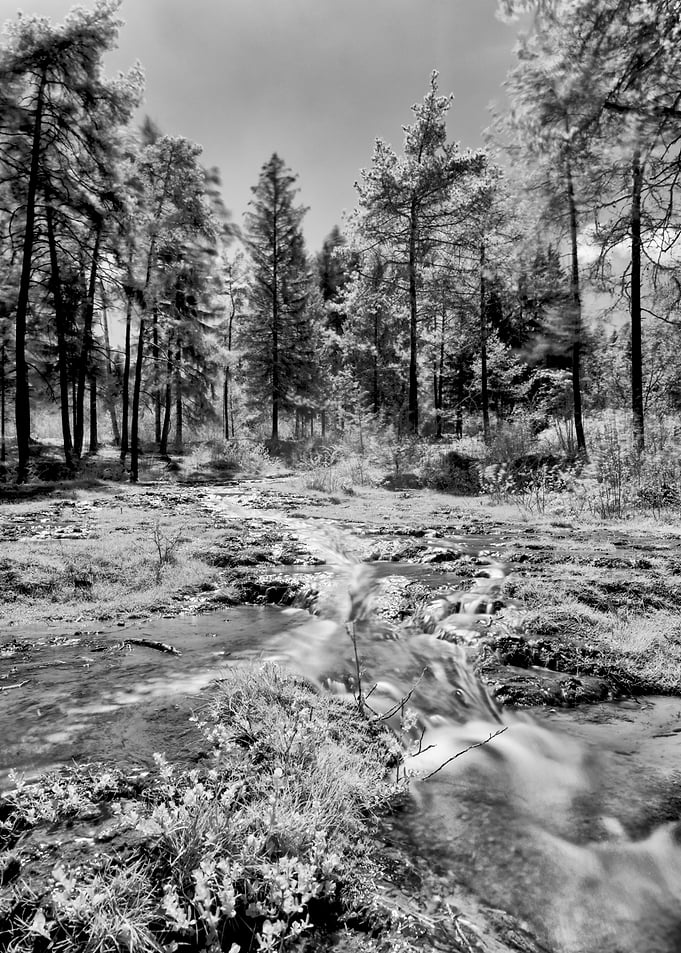 Lagole springs
