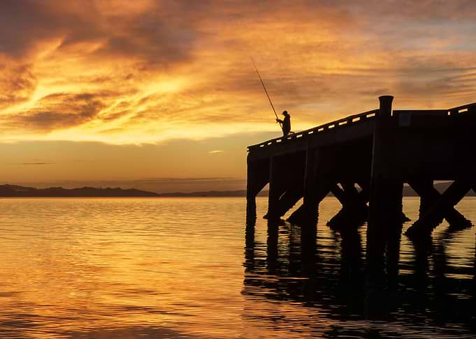 Lone Fisherman