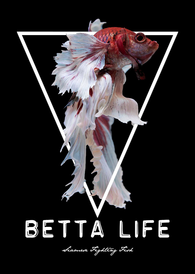Betta Fish Geometric