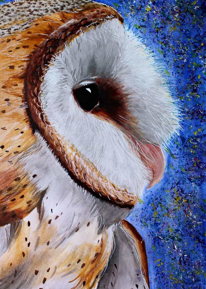 Cosmic owl