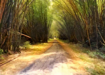Bamboo Cathedral