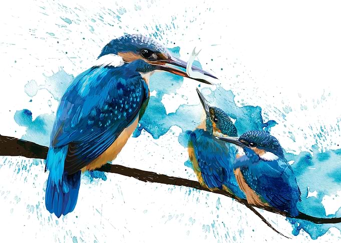 Kingfisher Family