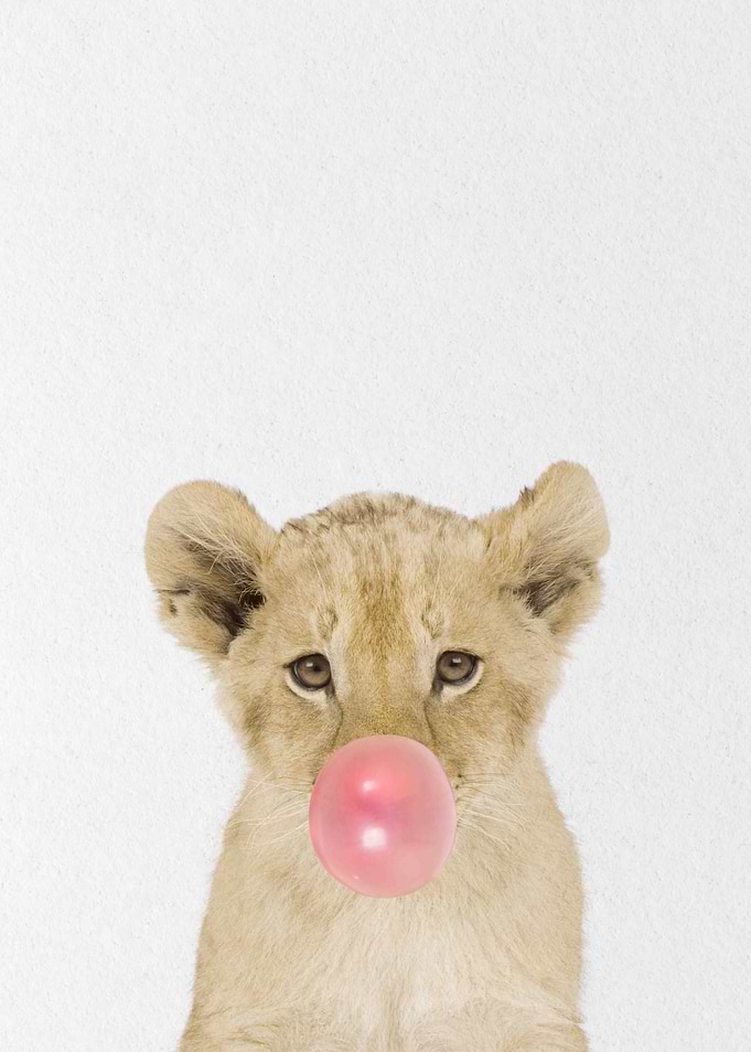 funny baby lion