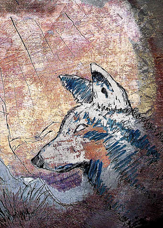 Lone wolf art print d