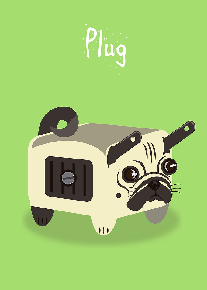 Plug