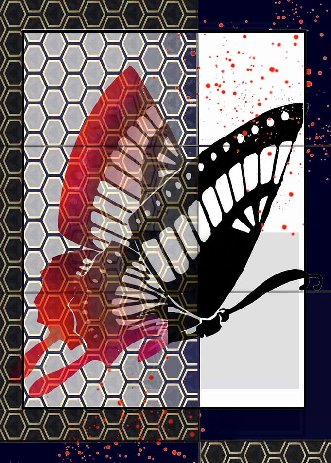 Classic Butterfly