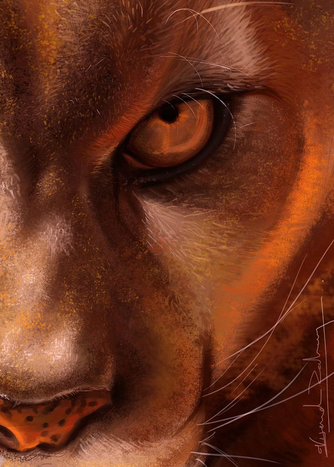 Tigress