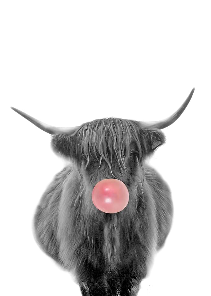 cow with bubble gum