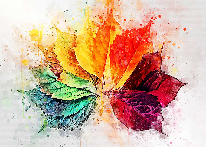 Colorful Leaves