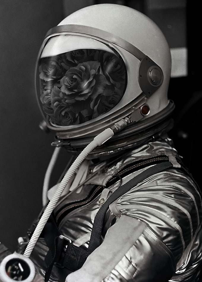 Space Roses
