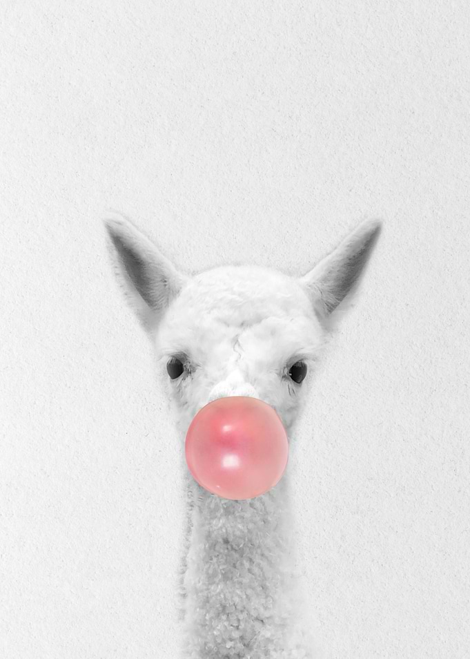 baby Sheep bubblegum
