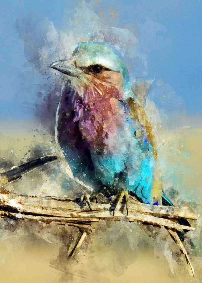 blisfull bird
