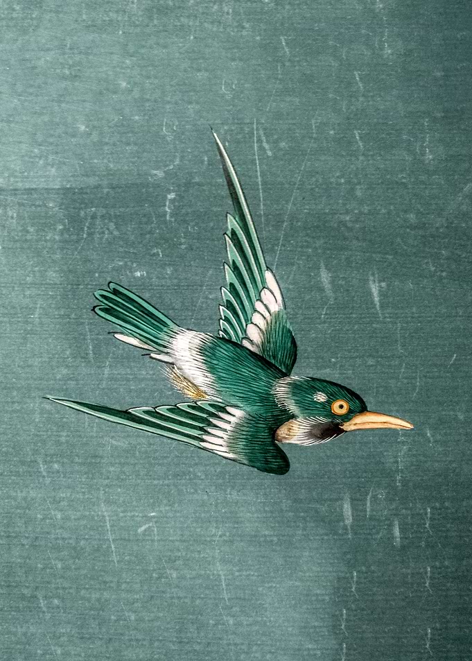 Traditional Chinese Bird