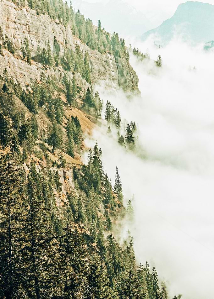 Hills Fog