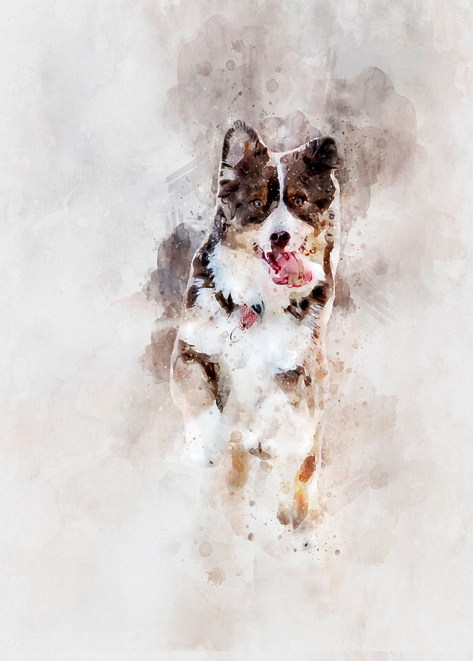 happy dog