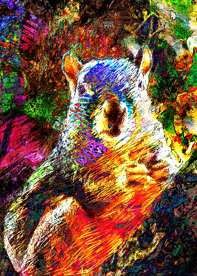 Squirrel art print