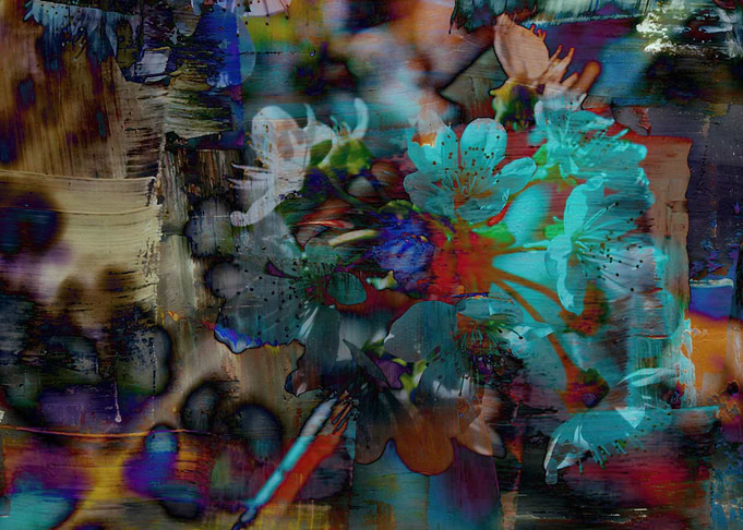 flower and fly