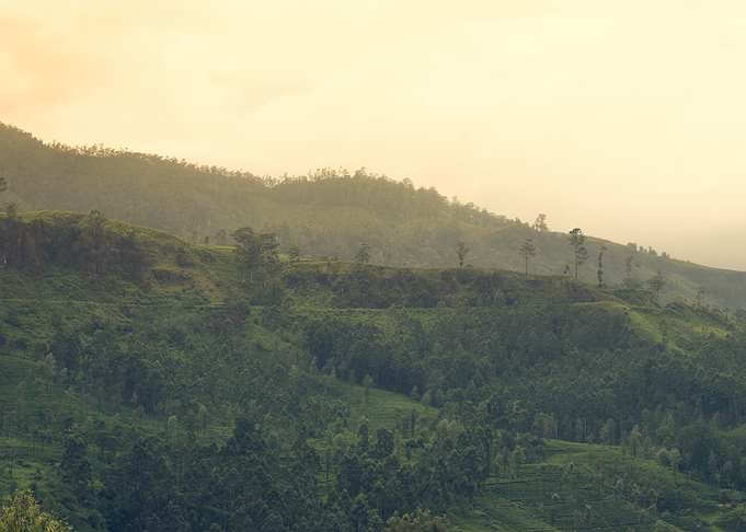 Sunrise over the mountains