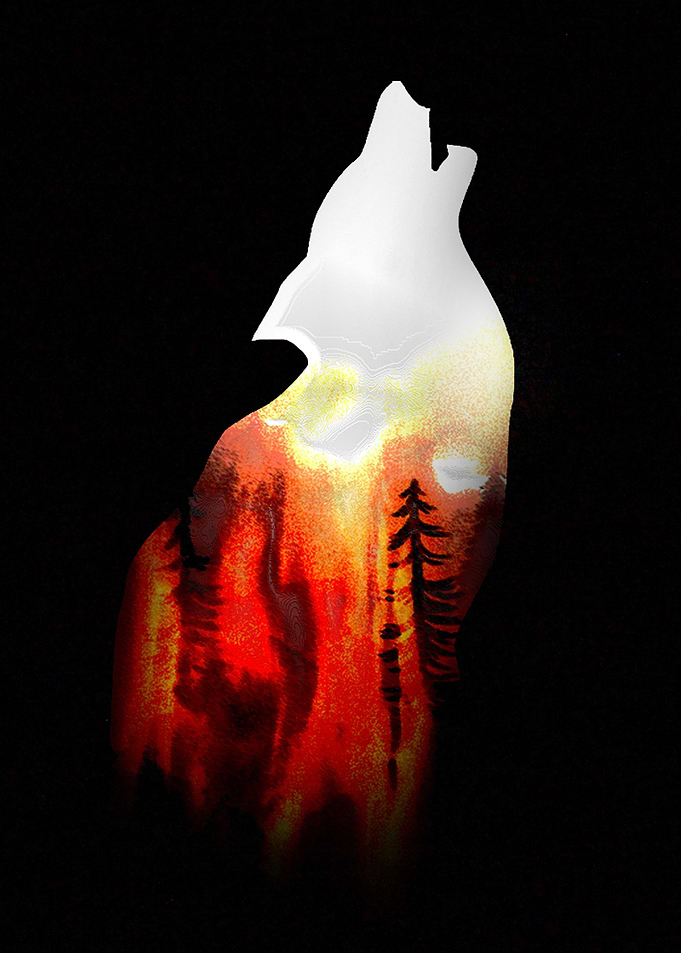 Howl