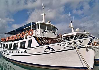 Golondrina Peniscola