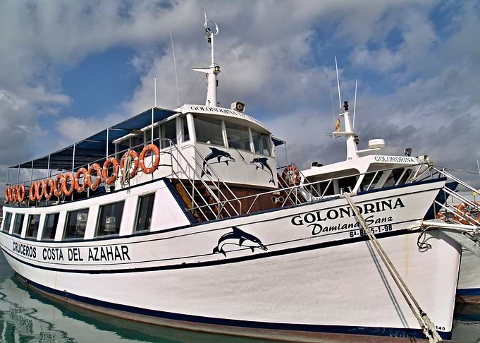 Golondrina Peniscola