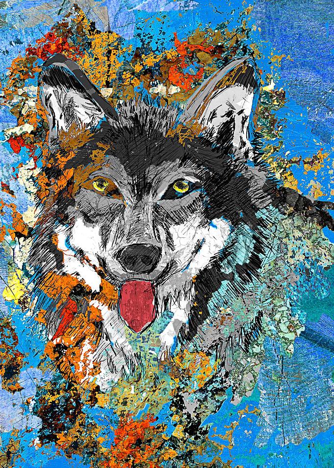 Artistic gray wolf