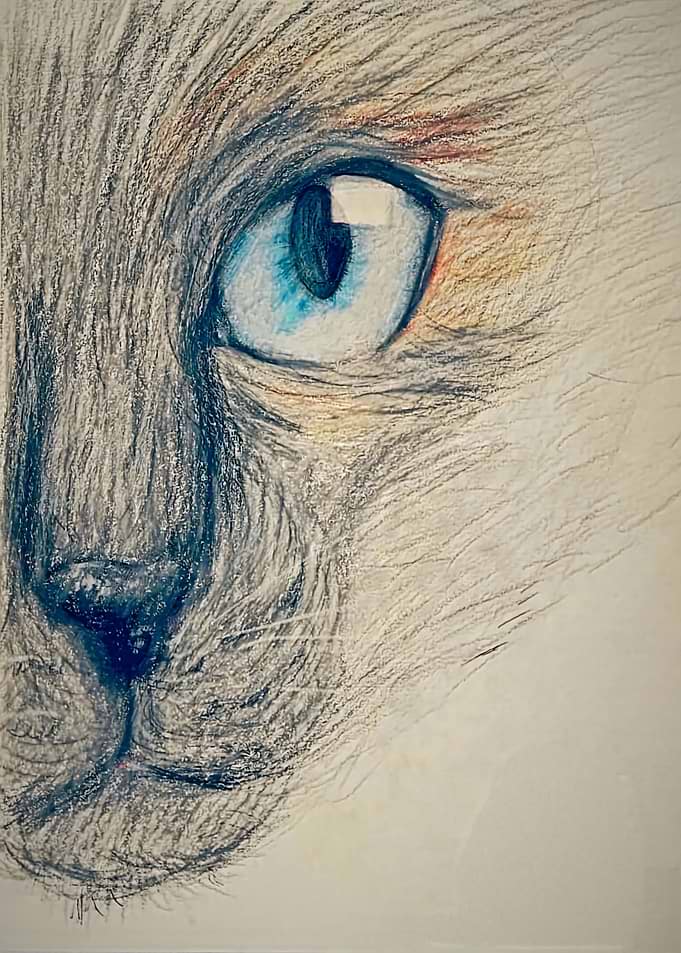 M Blue Eye Drawn Cat