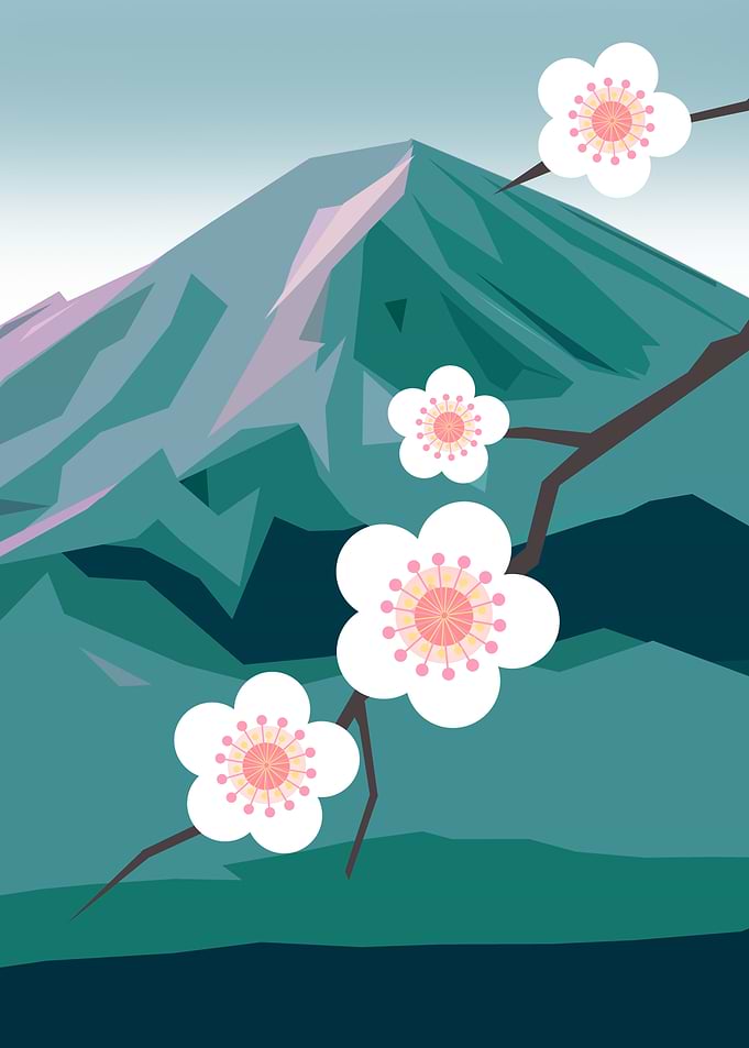 Cherry Blossom and Fuji