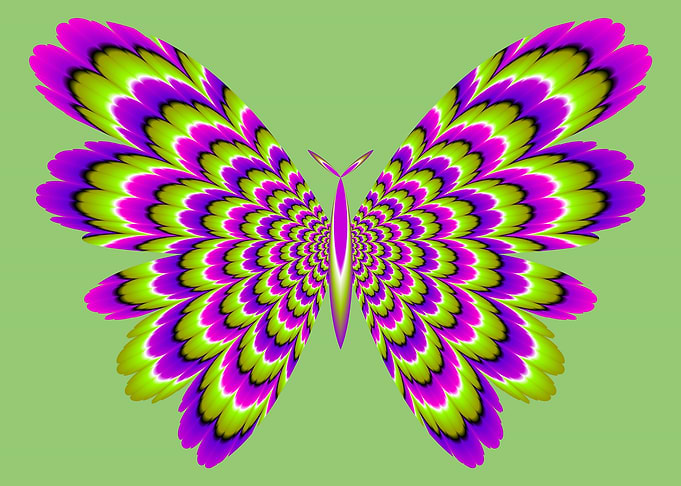 Green butterfly