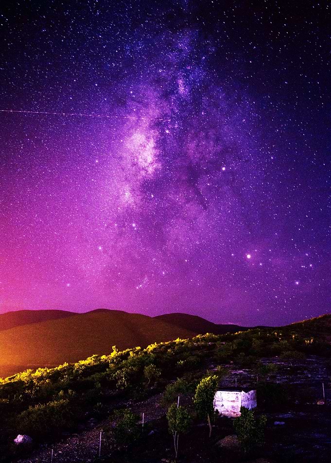Purple Stars