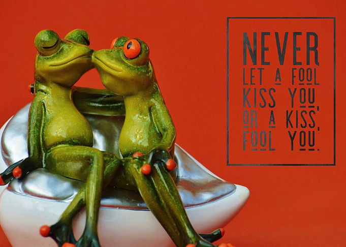 Never let a fool kiss you