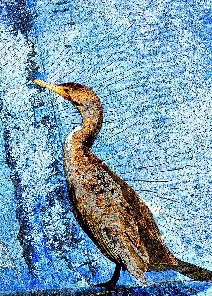 Young bird art