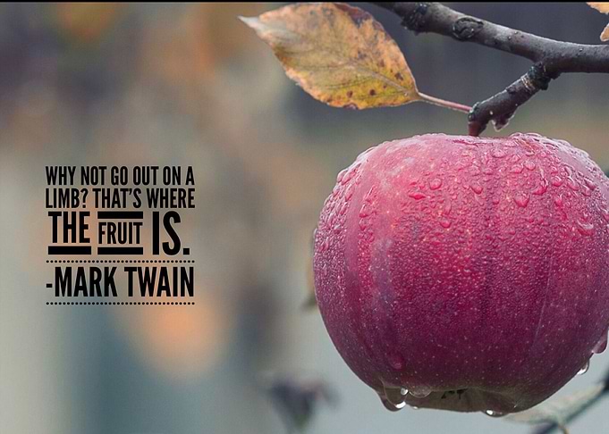 Why not go out on a limb