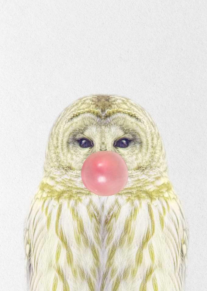 golden owl gum