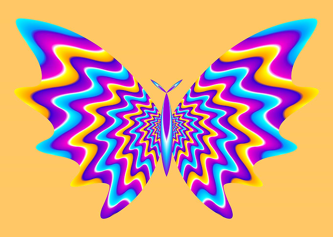 Colorful butterfly