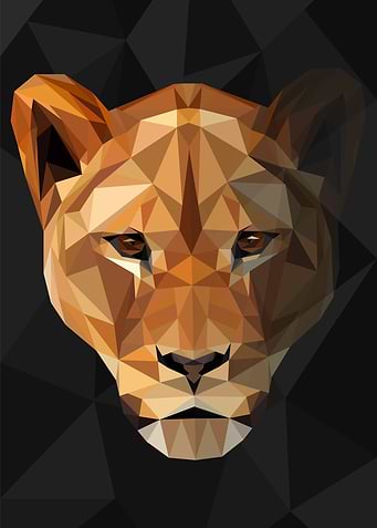 Fading Lioness