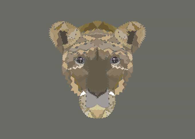Tigre