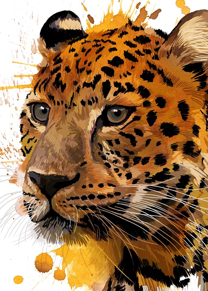 Leopard