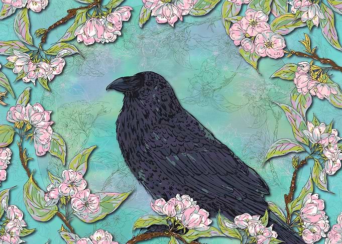 Raven and Apple Blossom